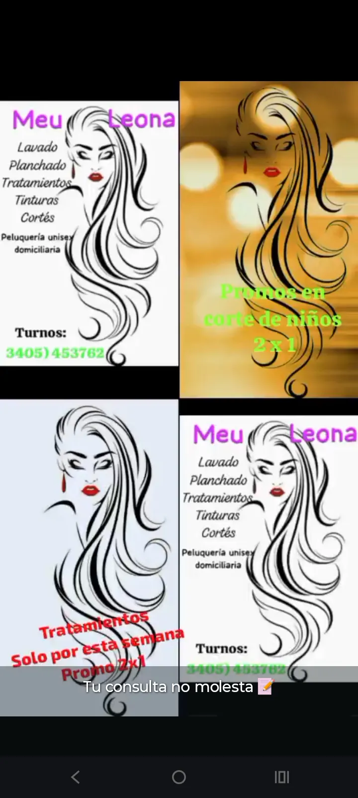 Meu Leona